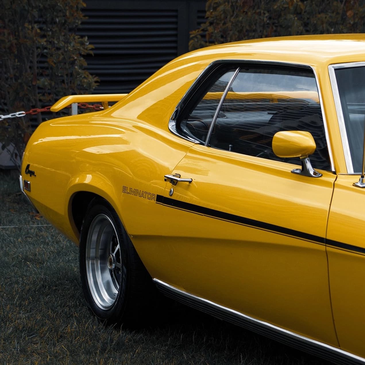 Storefront window graphics